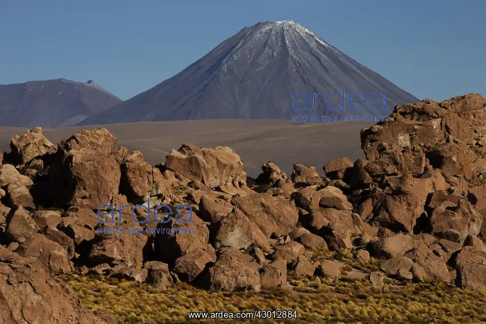 : Volcano - Atacama - Chile : Volcano - Atacama - Chile