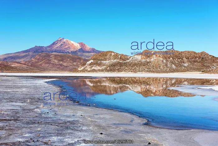 : Volcano Cerro Tunupa with reflection in the Salar : Volcano Cerro Tunupa with reflection in the Salar