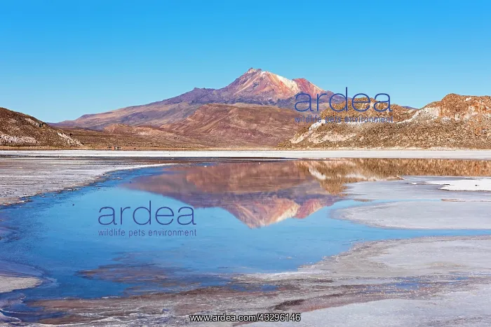 : Volcano Cerro Tunupa with reflection in the Salar : Volcano Cerro Tunupa with reflection in the Salar