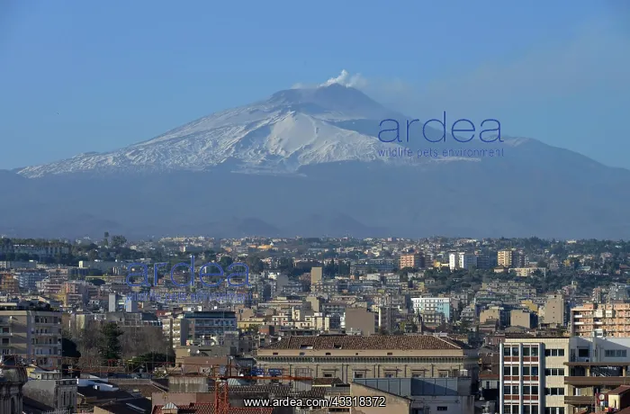 : Volcano, Etna, Catania, Sicily, Italy, Europe : Volcano, Etna, Catania, Sicily, Italy, Europe