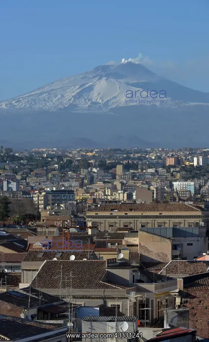 : Volcano, Etna, Catania, Sicily, Italy, Europe : Volcano, Etna, Catania, Sicily, Italy, Europe