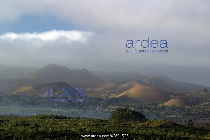  : Volcano, Grand Comore, Comoros Islands