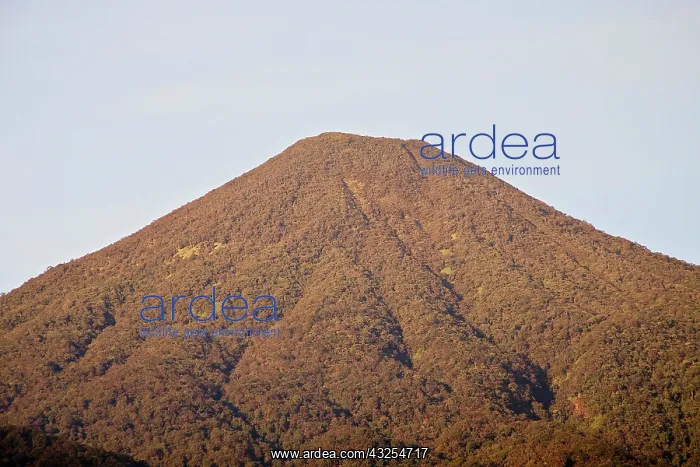 : Volcano, Gunung Gede Pangrango National : Volcano, Gunung Gede Pangrango National