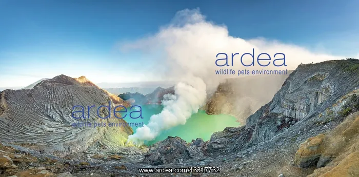 : Volcano Kawah Ijen, volcanic crater with crater : Volcano Kawah Ijen, volcanic crater with crater