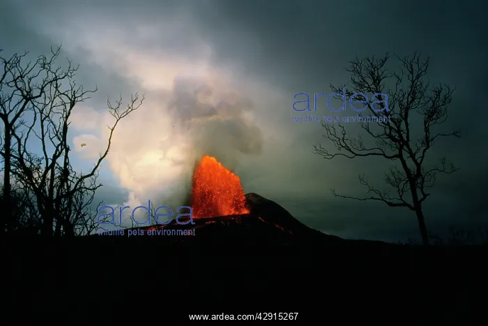 : Volcano - Kilauea Pu'u O'o vent : Volcano - Kilauea Pu'u O'o vent