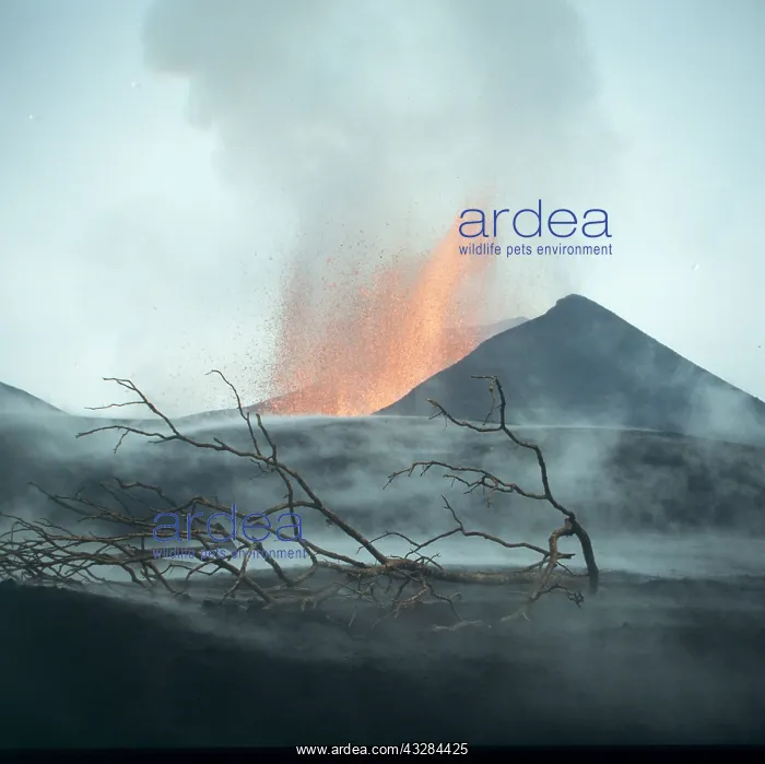  : VOLCANO - Kimanura eruption