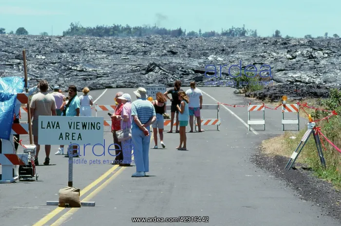 : Volcano - larva flow on highway 130 : Volcano - larva flow on highway 130