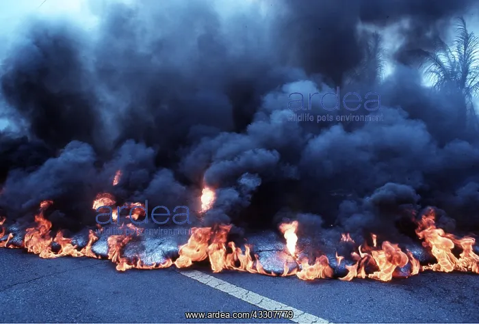 : VOLCANO - Lava advances over street : VOLCANO - Lava advances over street