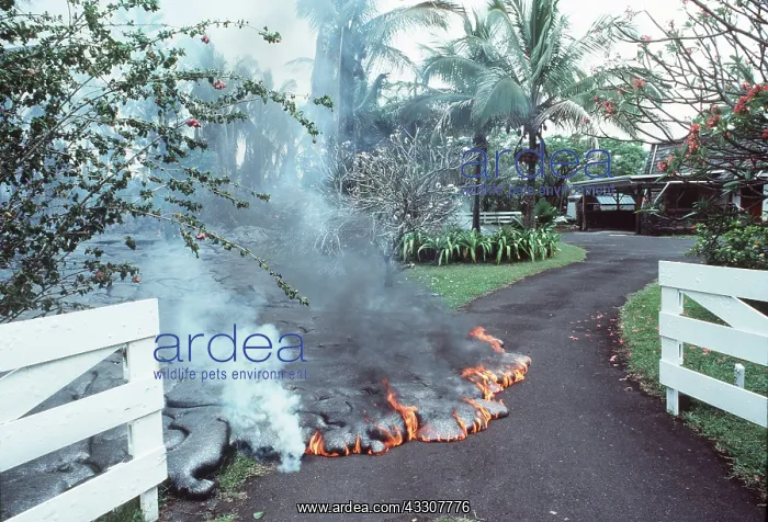 : VOLCANO - Lava moving into garden : VOLCANO - Lava moving into garden