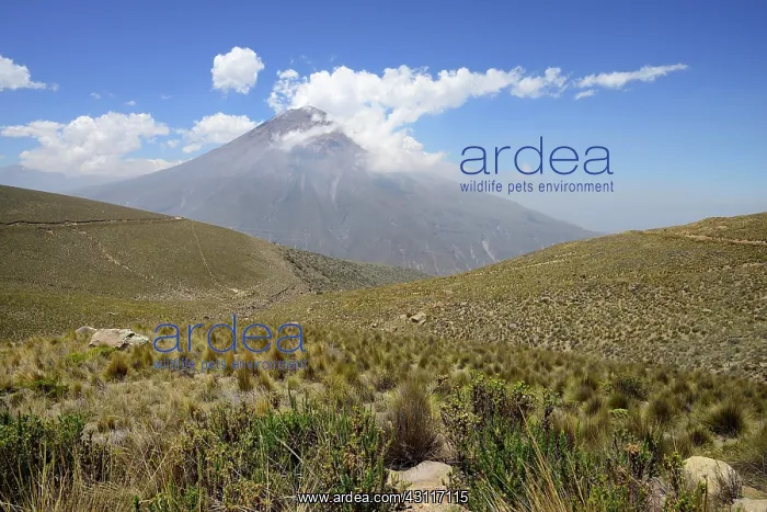 : Volcano Misti with clouds, Salinas and Aguada Blanca : Volcano Misti with clouds, Salinas and Aguada Blanca