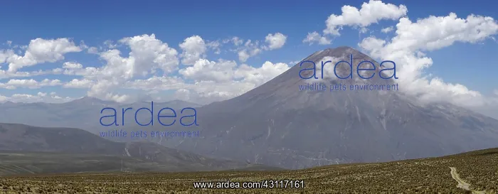 : Volcano Misti with clouds, Salinas and Aguada Blanca : Volcano Misti with clouds, Salinas and Aguada Blanca
