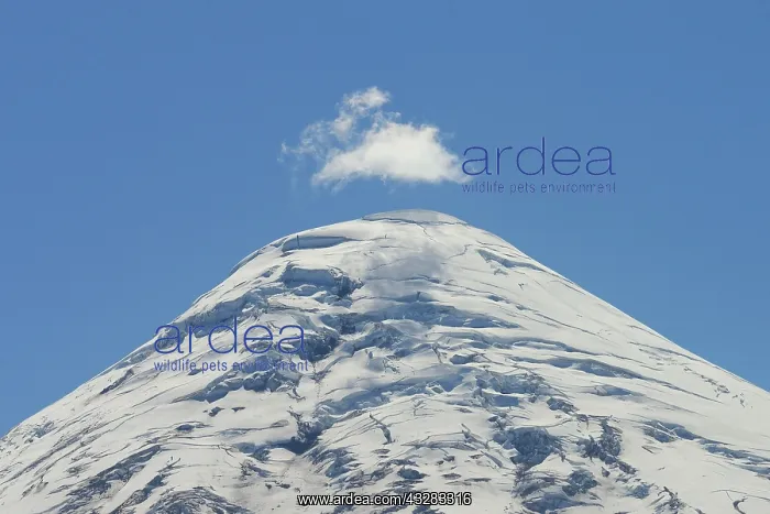 : Volcano Osorno, cloud over summit with snow and : Volcano Osorno, cloud over summit with snow and