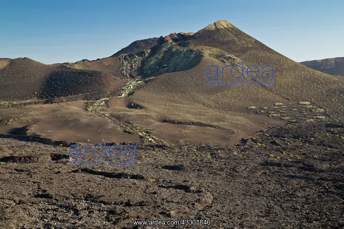 : The volcano of Pico partido - Timanfaya National : The volcano of Pico partido - Timanfaya National