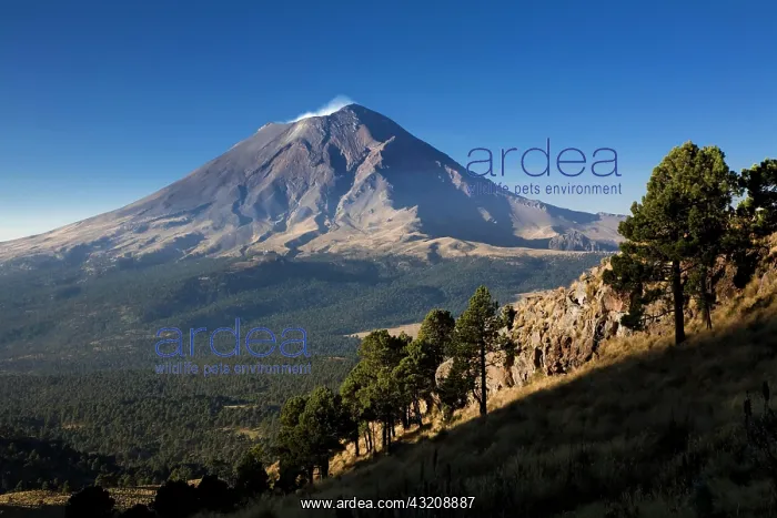 : Volcano Popocatepetl, Iztacc A'huatl Popocat opetl : Volcano Popocatepetl, Iztacc A'huatl Popocat opetl