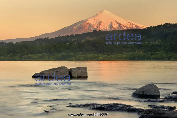 : Volcano Villarrica - snow covered volcano Villarica : Volcano Villarrica - snow covered volcano Villarica
