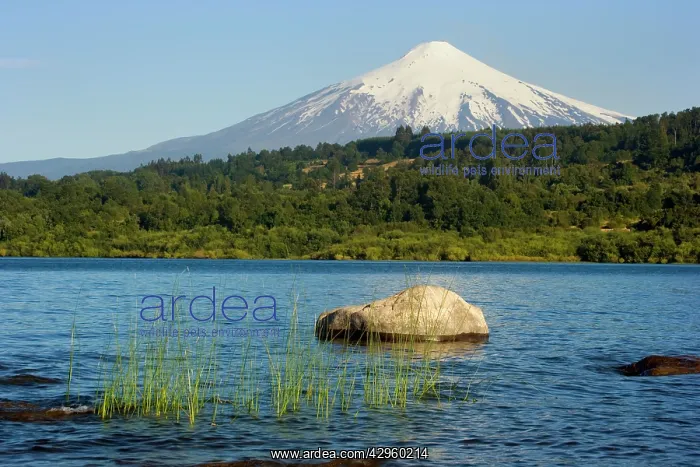 : Volcano Villarrica - snow covered volcano Villarrica : Volcano Villarrica - snow covered volcano Villarrica