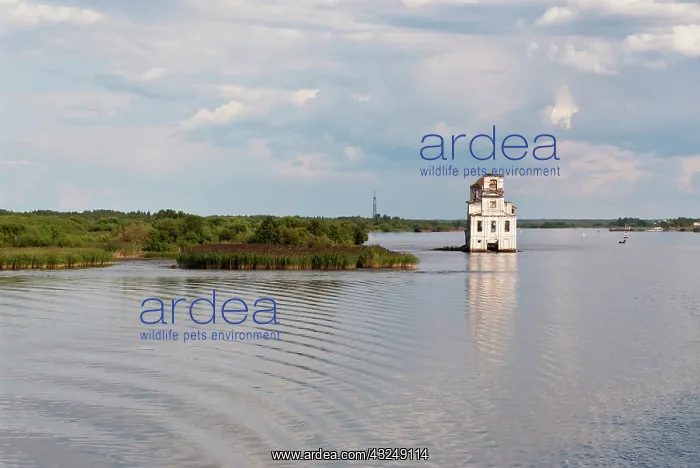 : Volga-Baltic Canal, Russia. The flooded : Volga-Baltic Canal, Russia. The flooded