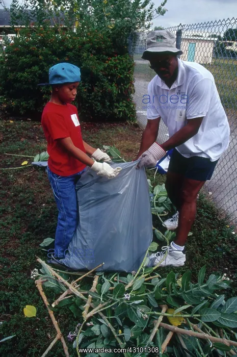 : Volunteers Clean Up Miami : Volunteers Clean Up Miami