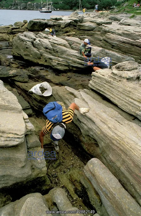 : Volunteers - Clean-Up Day Sydney Harbour : Volunteers - Clean-Up Day Sydney Harbour
