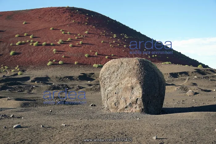 : Vulcanic bomb, near the walking path around the : Vulcanic bomb, near the walking path around the