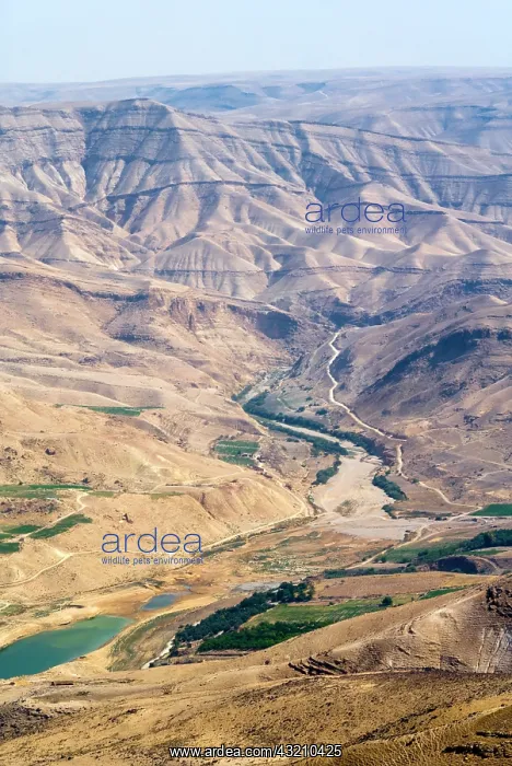 : Wadi Al Mujib Dam and lake, Jordan : Wadi Al Mujib Dam and lake, Jordan
