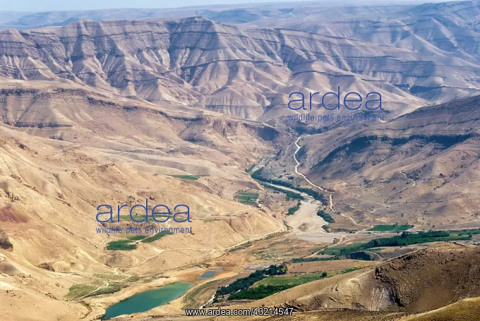  : Wadi Al Mujib Dam and lake, Jordan