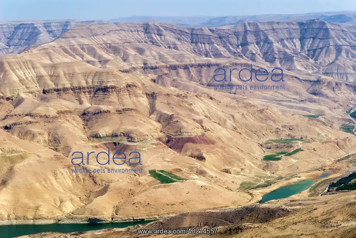 : Wadi Al Mujib Dam and lake, Jordan : Wadi Al Mujib Dam and lake, Jordan