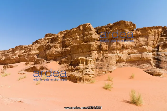 : Wadi Rum, Jordan : Wadi Rum, Jordan