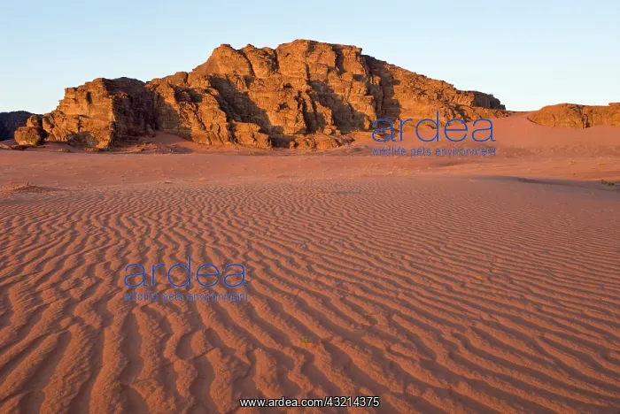 : Wadi Rum, Jordan, Middle East : Wadi Rum, Jordan, Middle East