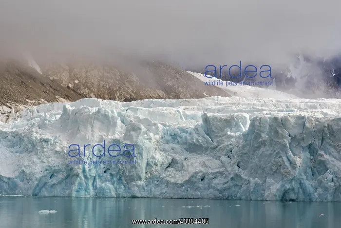 : Waggonwaybreen, glacier in Albert I Land at Spitsbergen : Waggonwaybreen, glacier in Albert I Land at Spitsbergen