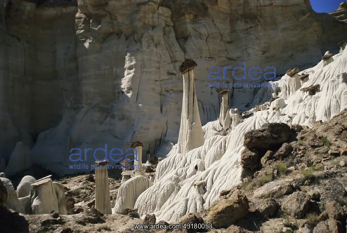 : Wahweap Hoodoos, Utah : Wahweap Hoodoos, Utah