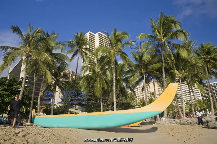 : Waikiki Beach in Honolulu, Honolulu, Oahu, Pazifik : Waikiki Beach in Honolulu, Honolulu, Oahu, Pazifik