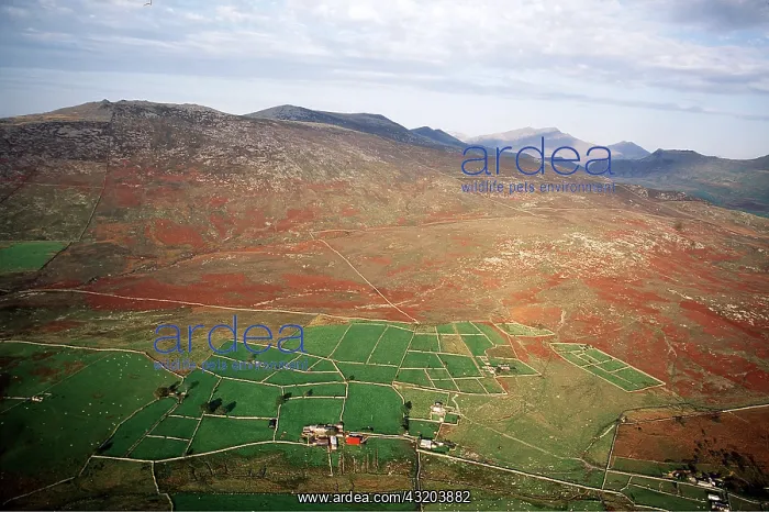 : WALES - AERIAL OF SNOWDONIA FIELDS : WALES - AERIAL OF SNOWDONIA FIELDS