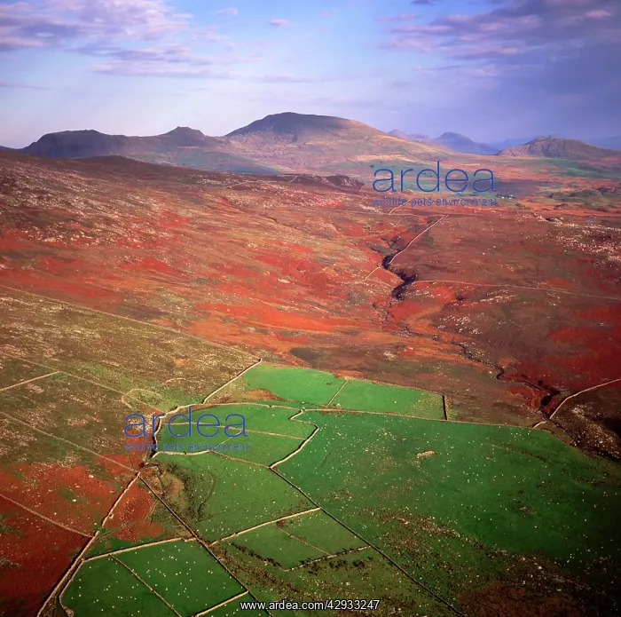  : Wales - Snowdonia