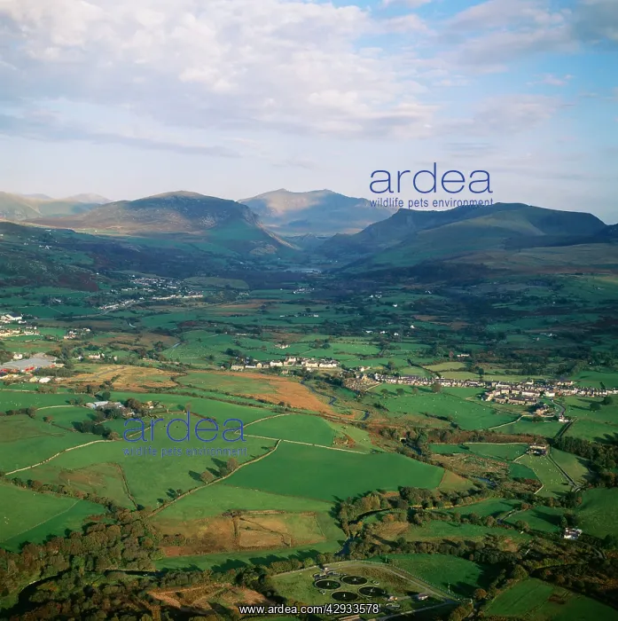  : WALES - SNOWDONIA
