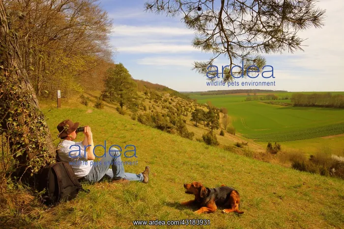 : Walker and his dog (Canis familiaris) sitting under : Walker and his dog (Canis familiaris) sitting under
