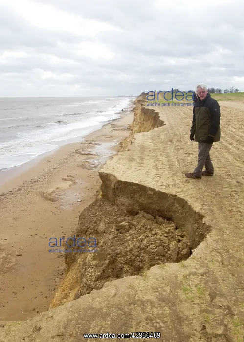  : Walker along the edge of Cliff erosion