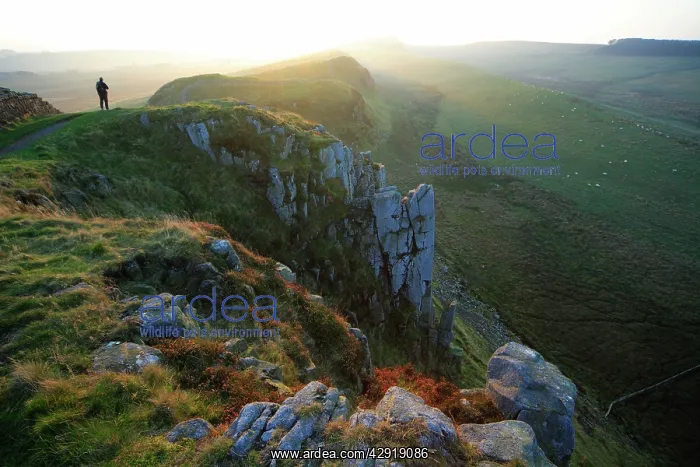 : Walker on Hadrian's Wall - beside Steel Rig, view : Walker on Hadrian's Wall - beside Steel Rig, view