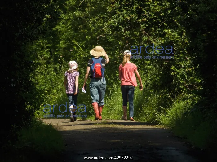 : Walkers : Walkers