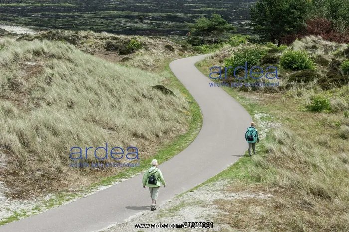 : Human. Walkers in the dunes of Schoorl : Human. Walkers in the dunes of Schoorl