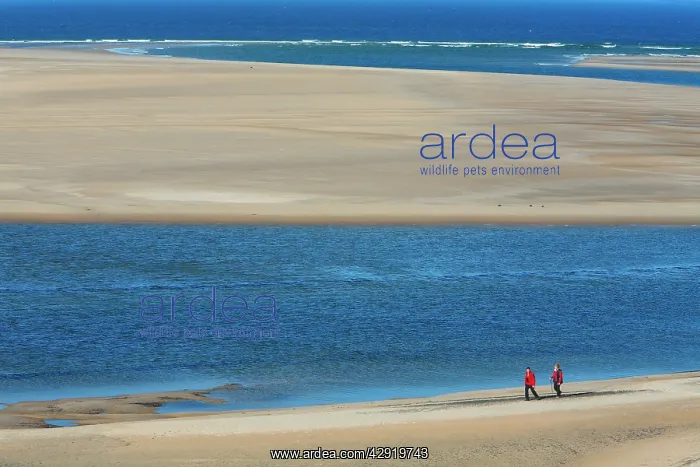 : Walkers at low tide : Walkers at low tide