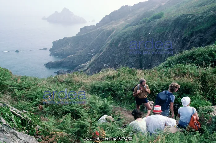 : Walkers - resting on South Devon Coast path