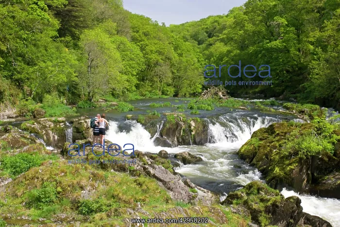 : Two walkers by River Teifi : Two walkers by River Teifi