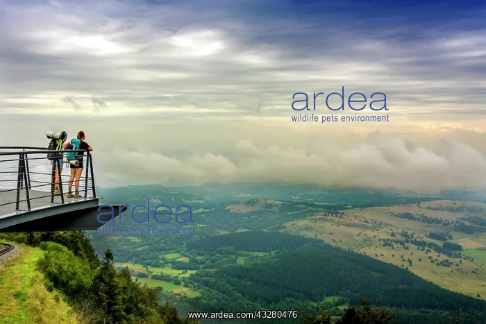 : Walkers on a viewing platform facing the Limagne : Walkers on a viewing platform facing the Limagne