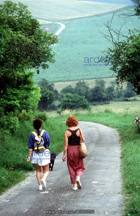 : Walkers - two women on country road : Walkers - two women on country road