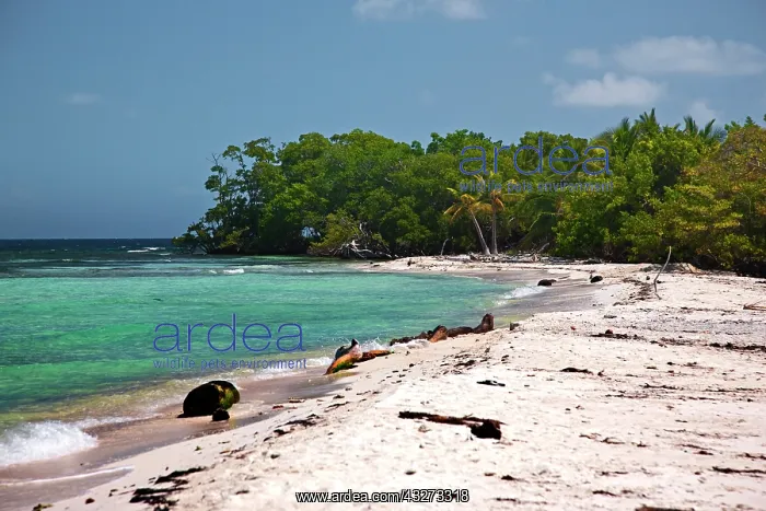 : Walking along the beach on West Snake Cay : Walking along the beach on West Snake Cay