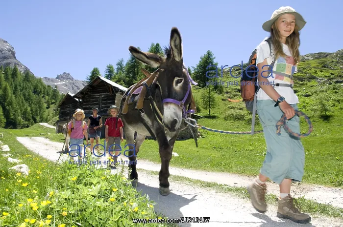 : Walking with Donkey Cottage of Clapeyto Queyras Alps France : Walking with Donkey Cottage of Clapeyto Queyras Alps France