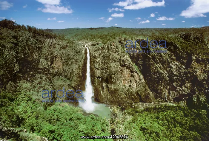 : Wallaman Falls - 305 metres (the longest sheer : Wallaman Falls - 305 metres (the longest sheer