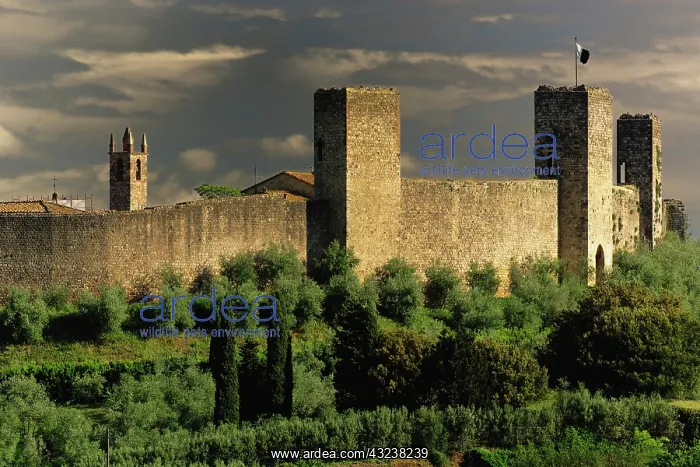 : Walled city of Monteriggioni, in the province : Walled city of Monteriggioni, in the province