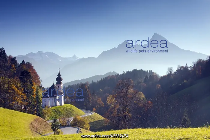: Wallfahrtskirche, pilgrimage church Maria Gern in : Wallfahrtskirche, pilgrimage church Maria Gern in